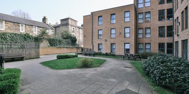 Image of iQ Grove