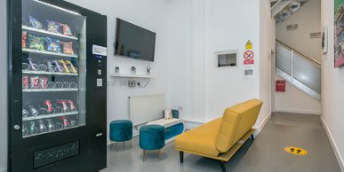 Image of Herbal Hill Studios