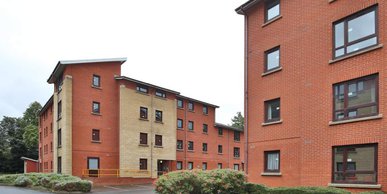 Image of iQ Daisy Bank