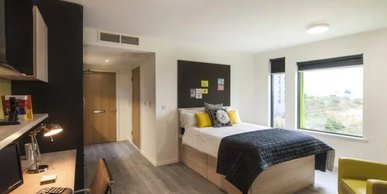 Image of The Lyra, London