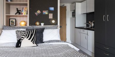 Image of The Lyra, London