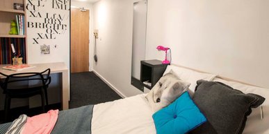 Image of The View, Newcastle