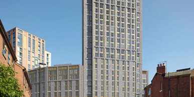 Image of True Sheffield