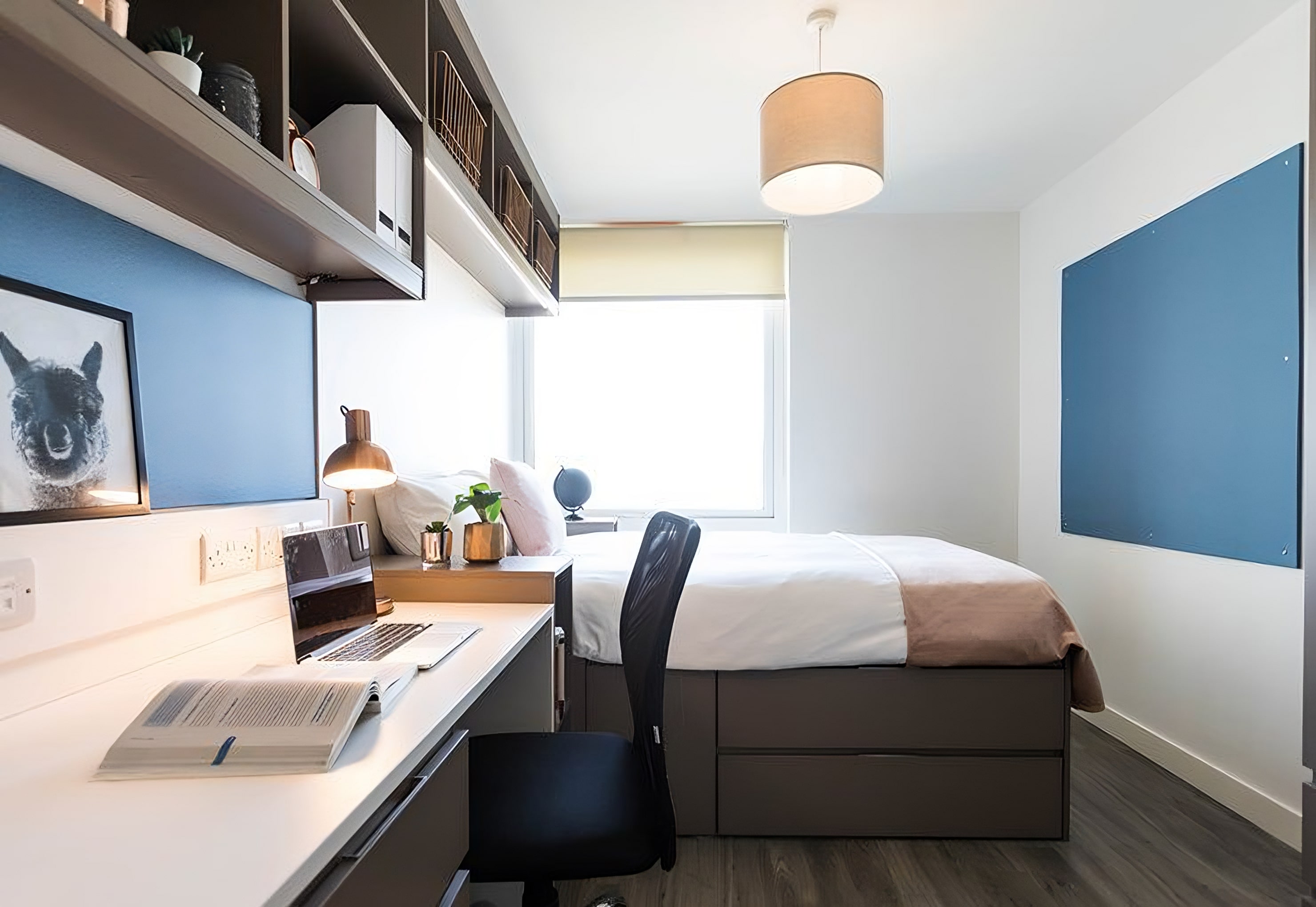 Student accommodation bedroom with a desk